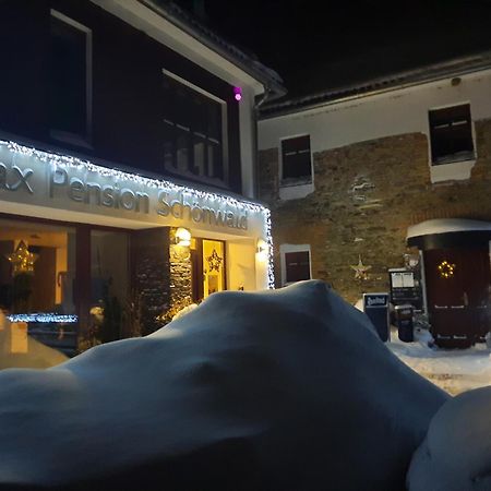 Relax Pension Schonwald Budisov nad Budisovkou エクステリア 写真