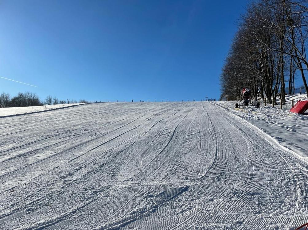 Relax Pension Schonwald Budisov nad Budisovkou エクステリア 写真