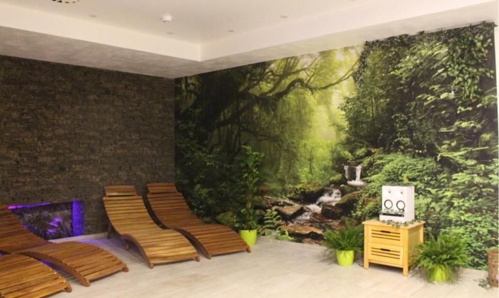 Relax Pension Schonwald Budisov nad Budisovkou エクステリア 写真