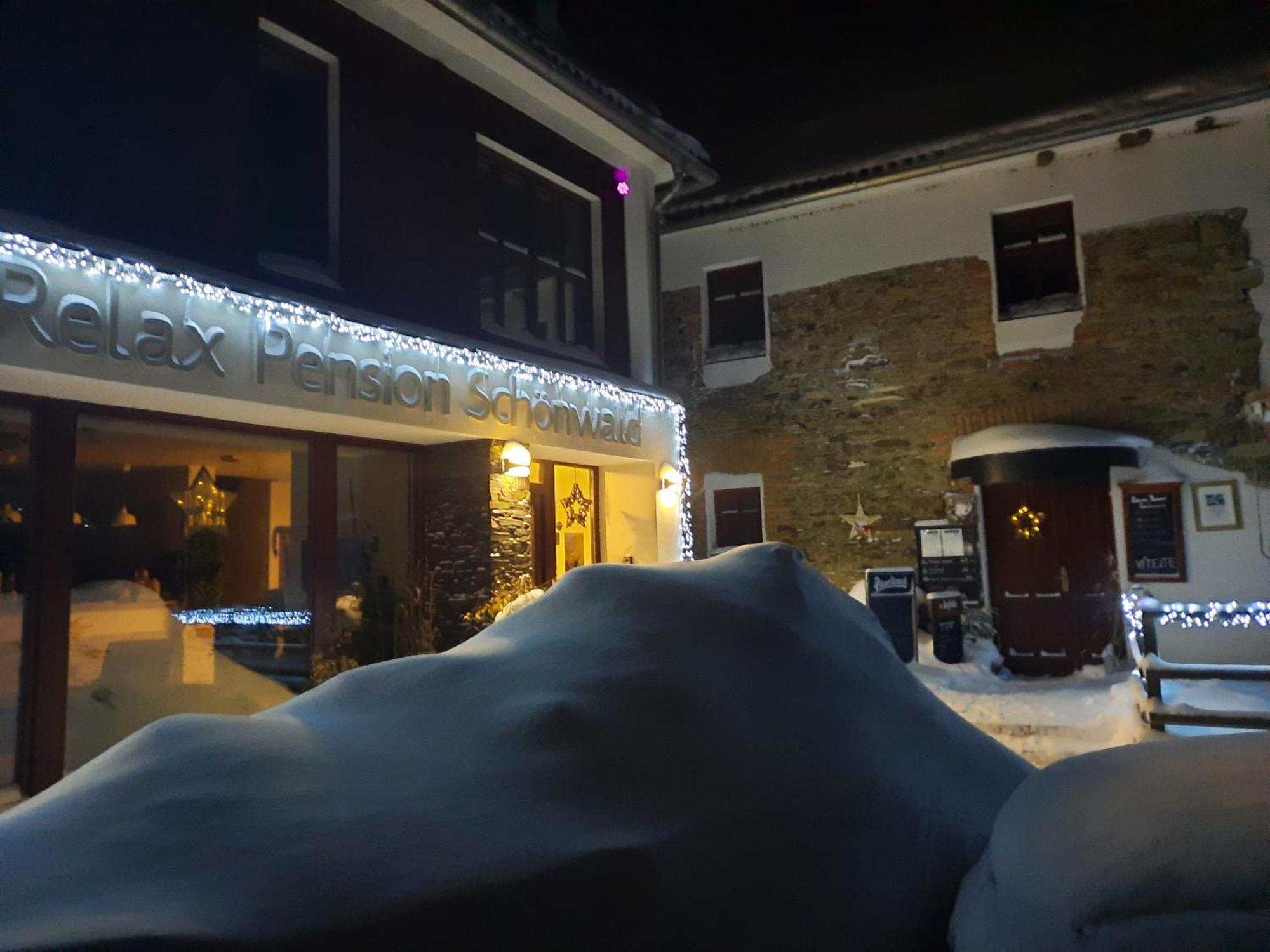 Relax Pension Schonwald Budisov nad Budisovkou エクステリア 写真